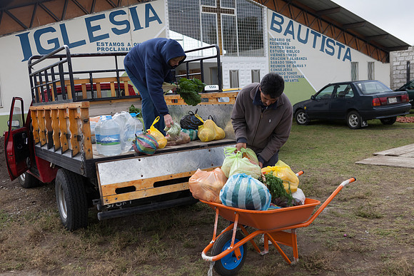 unloading groceries