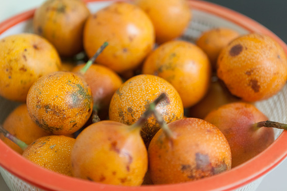 Tree Tomato