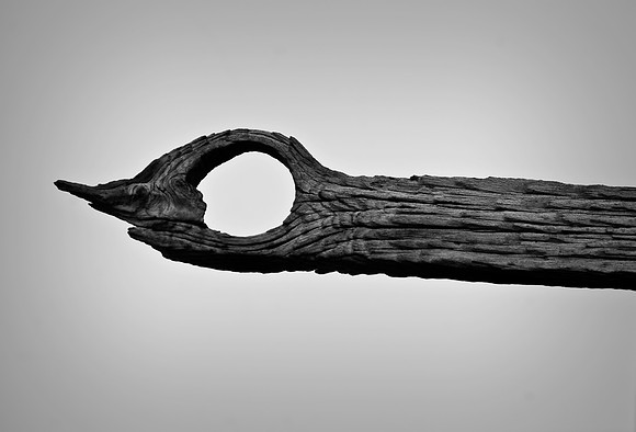 Knot Whole