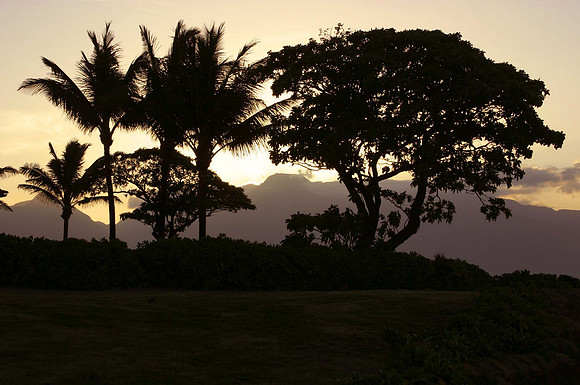 Maui Sunset